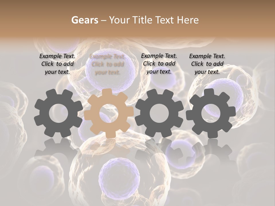 Hn Prometaphase Membrane PowerPoint Template