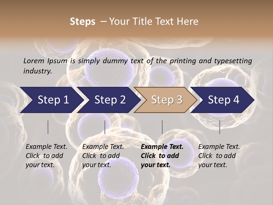 Hn Prometaphase Membrane PowerPoint Template