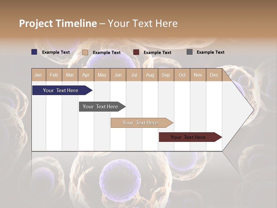 Hn Prometaphase Membrane PowerPoint Template