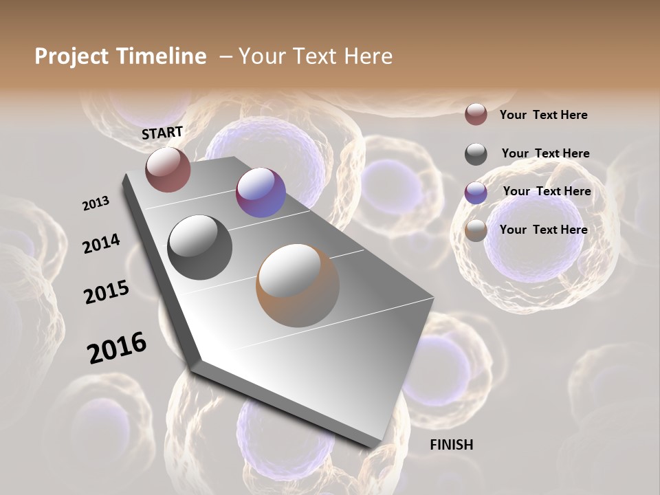 Hn Prometaphase Membrane PowerPoint Template