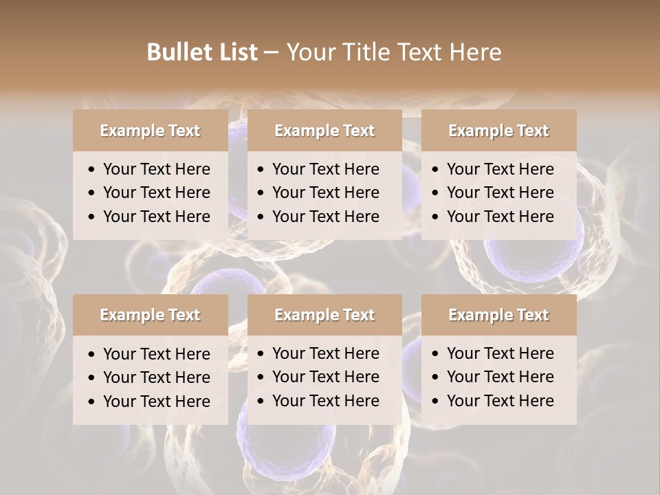 Hn Prometaphase Membrane PowerPoint Template
