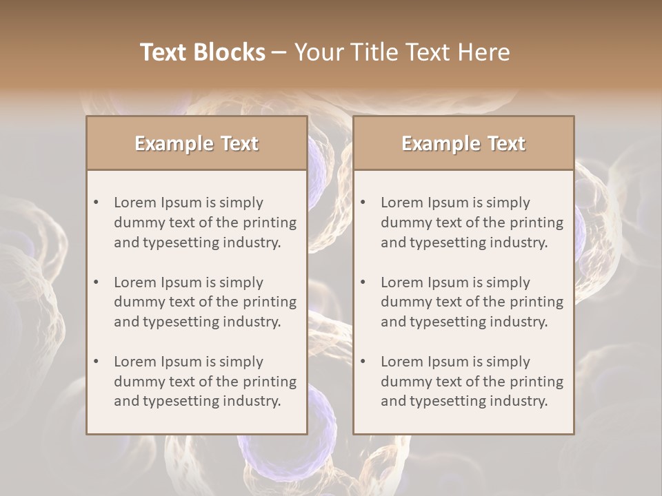 Hn Prometaphase Membrane PowerPoint Template