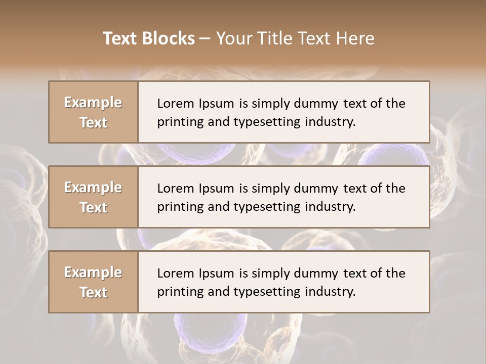 Hn Prometaphase Membrane PowerPoint Template