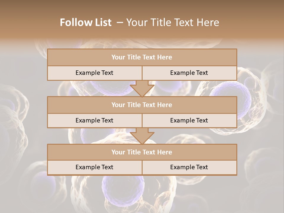 Hn Prometaphase Membrane PowerPoint Template