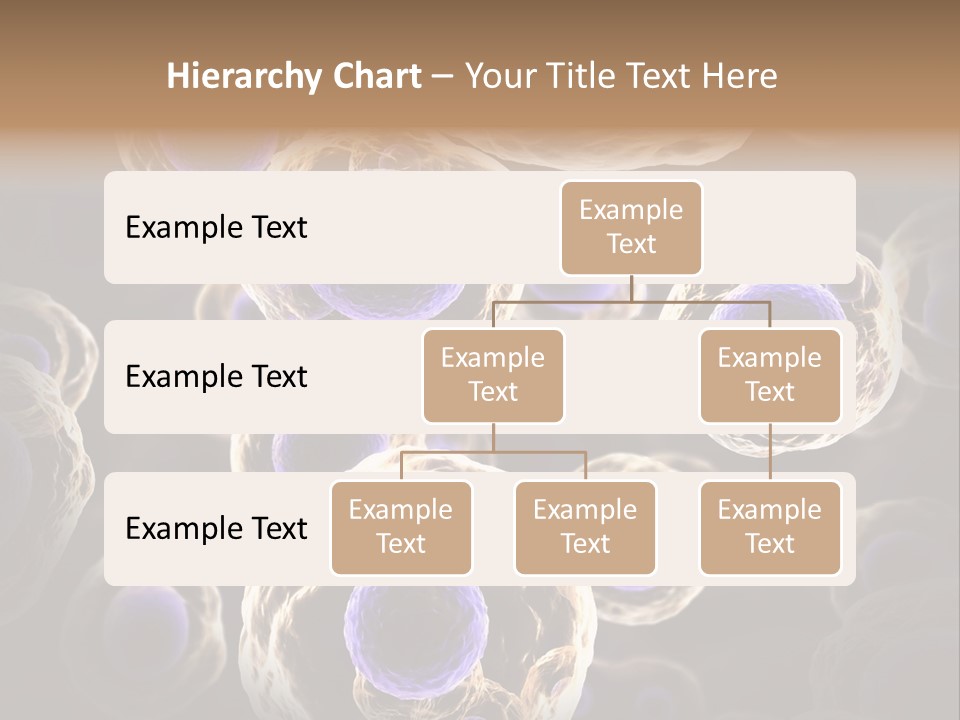 Hn Prometaphase Membrane PowerPoint Template