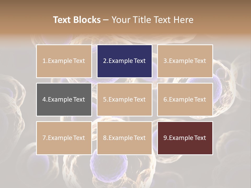 Hn Prometaphase Membrane PowerPoint Template