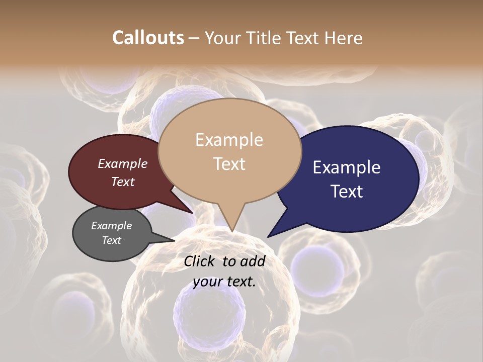 Hn Prometaphase Membrane PowerPoint Template