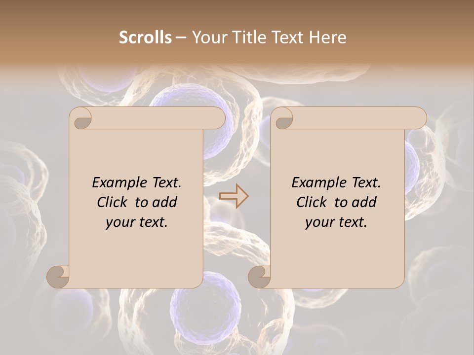 Hn Prometaphase Membrane PowerPoint Template