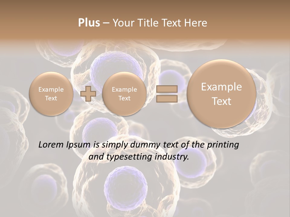 Hn Prometaphase Membrane PowerPoint Template