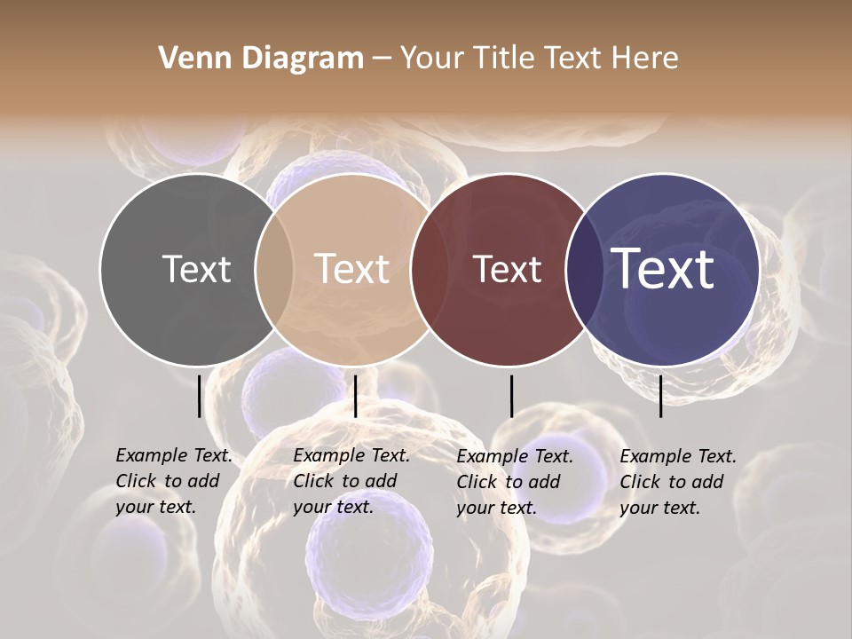 Hn Prometaphase Membrane PowerPoint Template