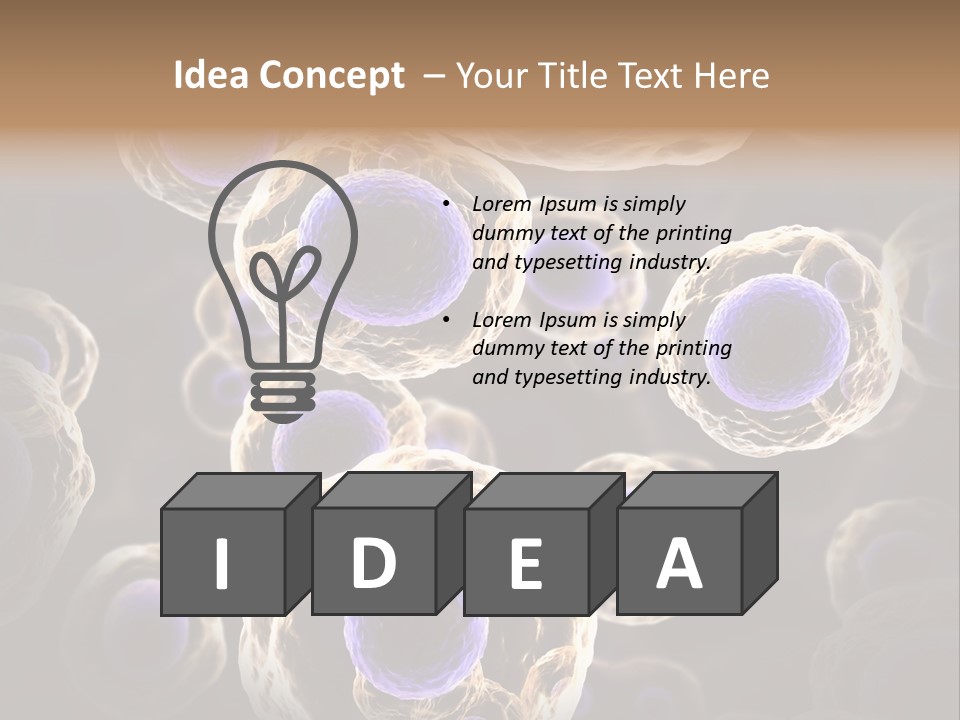 Hn Prometaphase Membrane PowerPoint Template