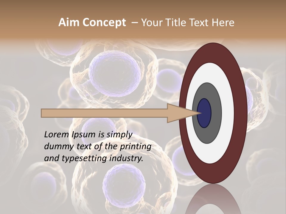 Hn Prometaphase Membrane PowerPoint Template