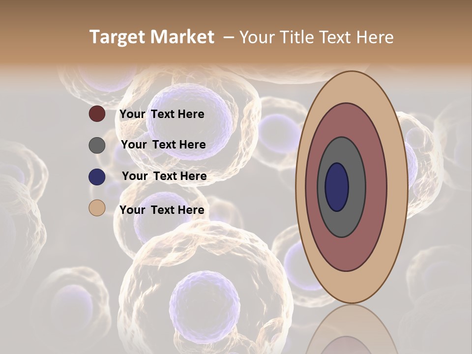 Hn Prometaphase Membrane PowerPoint Template