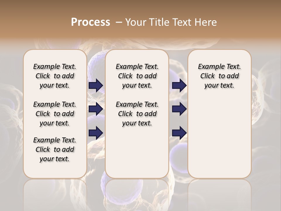 Hn Prometaphase Membrane PowerPoint Template