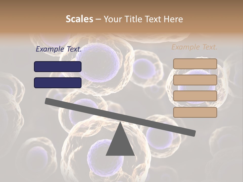 Hn Prometaphase Membrane PowerPoint Template