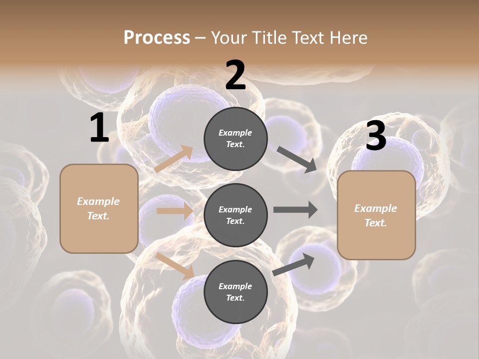 Hn Prometaphase Membrane PowerPoint Template