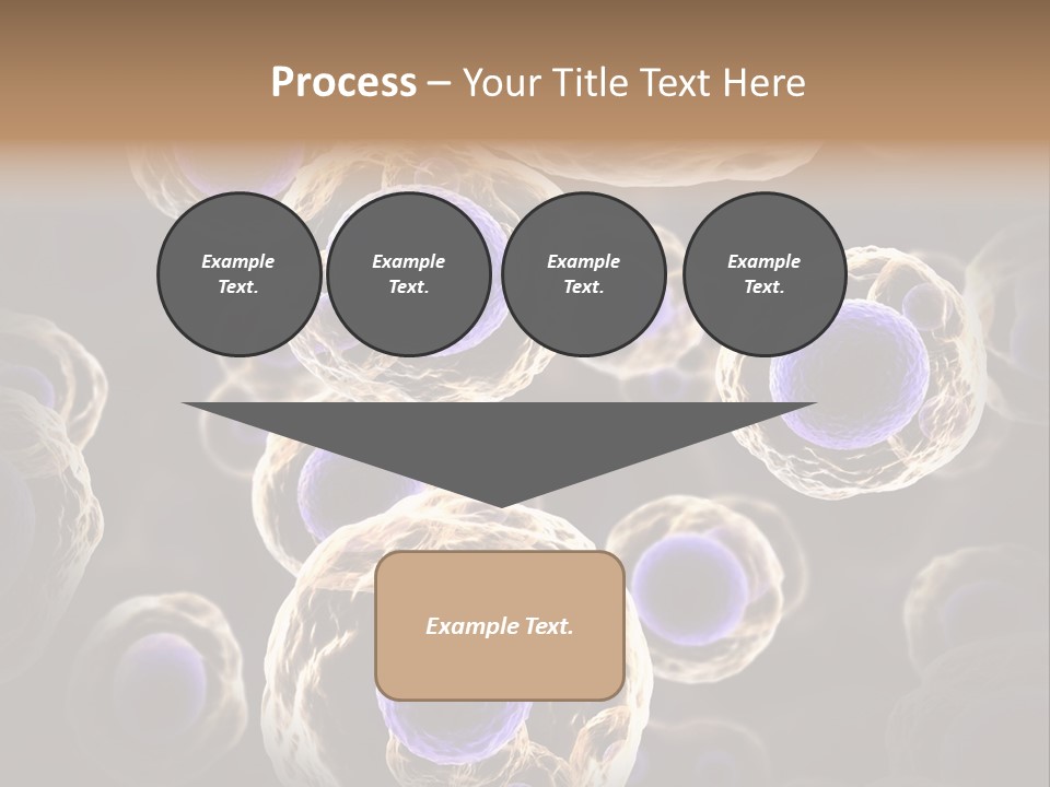 Hn Prometaphase Membrane PowerPoint Template