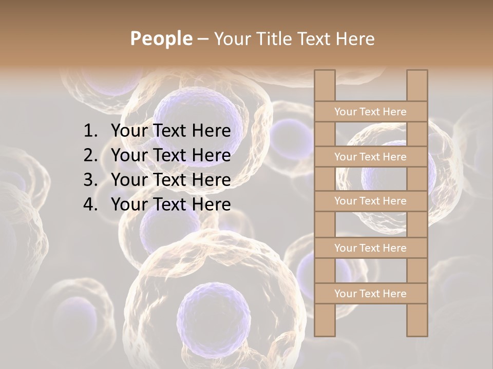 Hn Prometaphase Membrane PowerPoint Template
