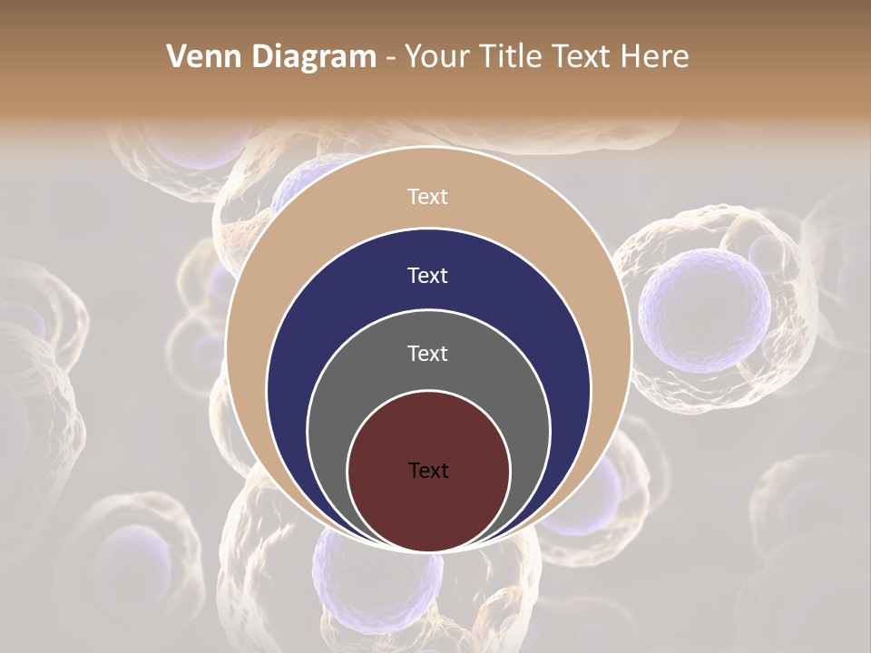 Hn Prometaphase Membrane PowerPoint Template