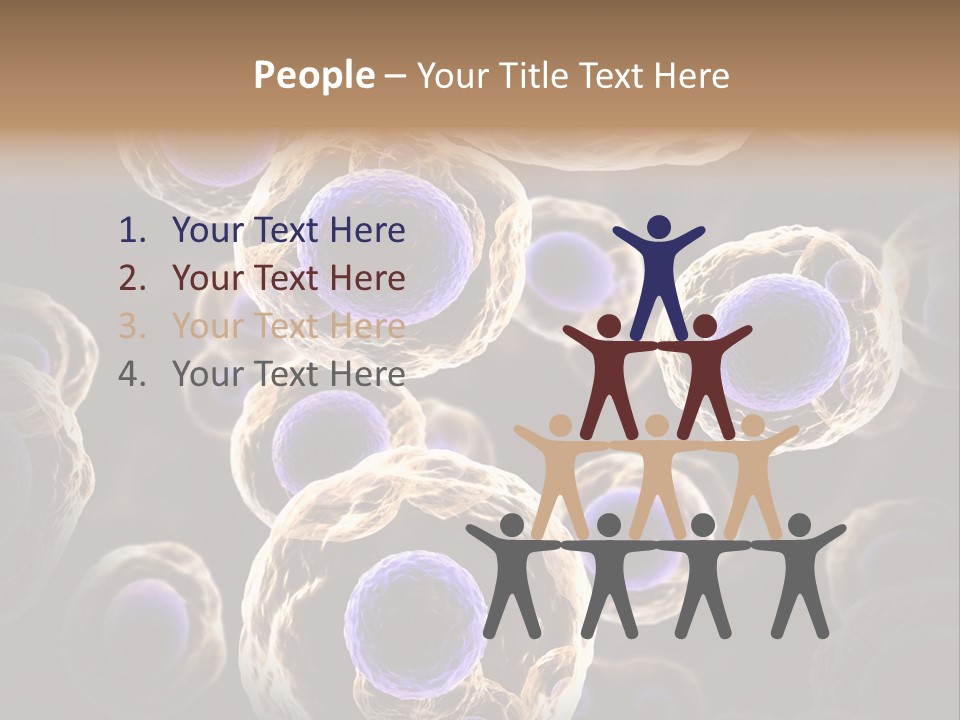 Hn Prometaphase Membrane PowerPoint Template
