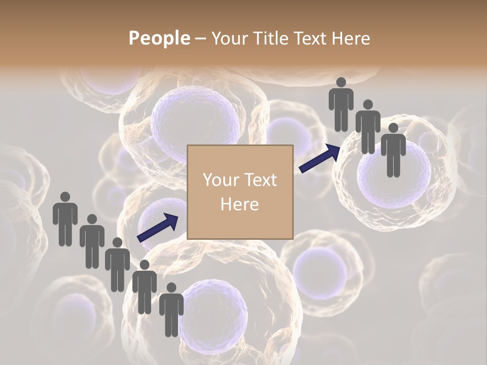 Hn Prometaphase Membrane PowerPoint Template