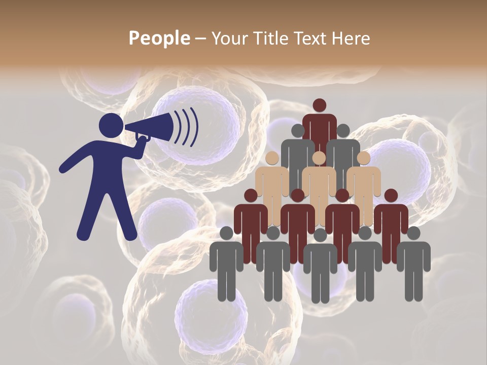 Hn Prometaphase Membrane PowerPoint Template