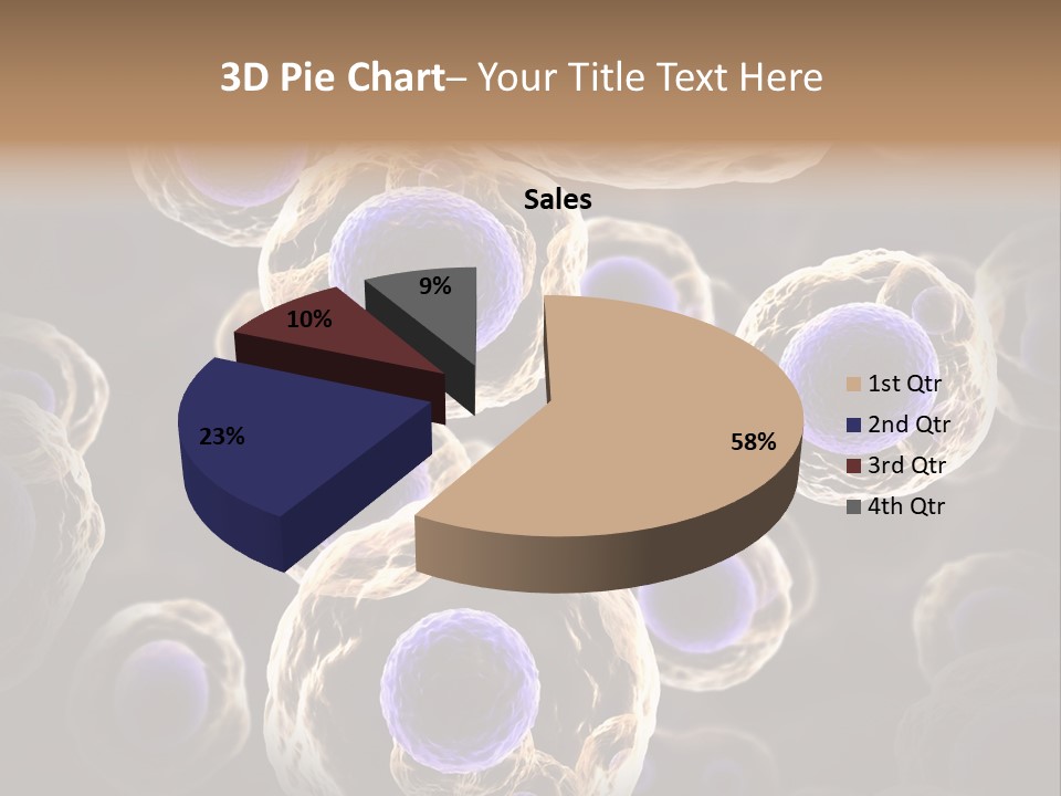 Hn Prometaphase Membrane PowerPoint Template