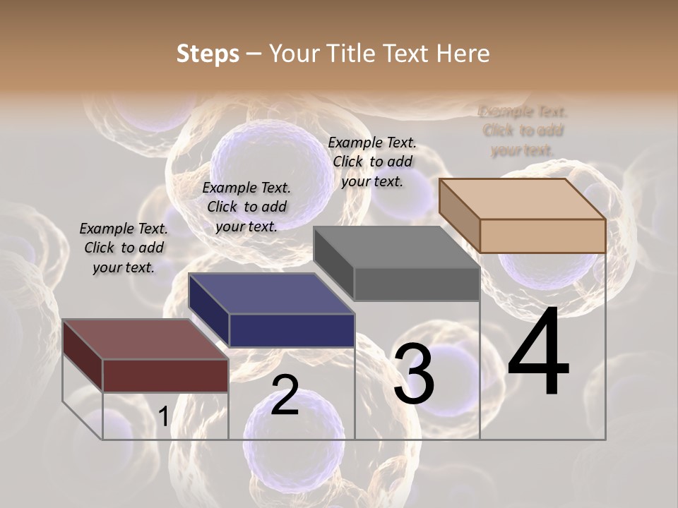 Hn Prometaphase Membrane PowerPoint Template