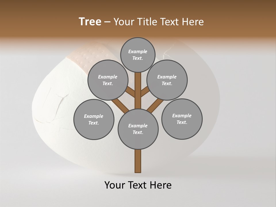 Hospital Recovery Security PowerPoint Template