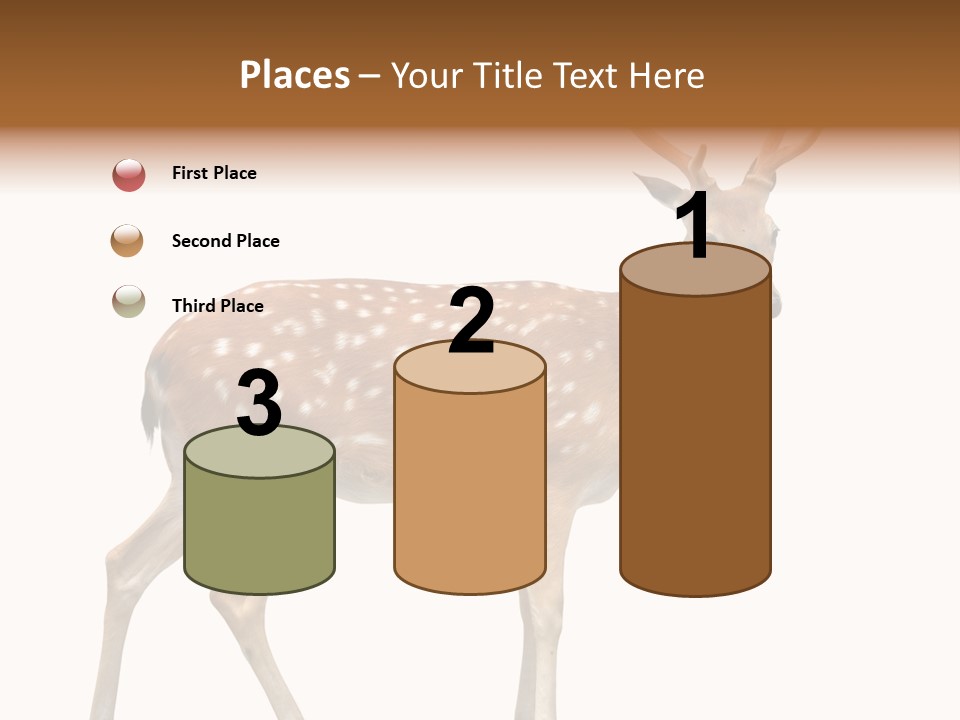 Wildlife Nature Cute PowerPoint Template