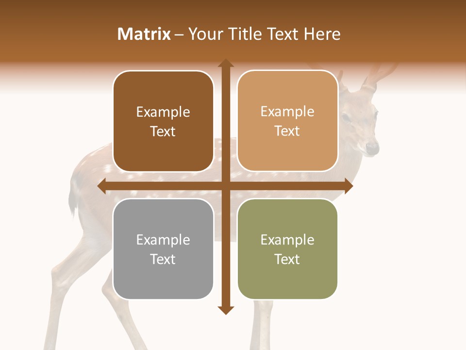 Wildlife Nature Cute PowerPoint Template