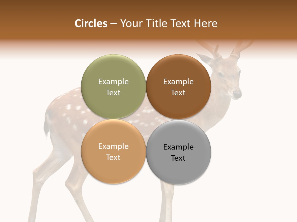Wildlife Nature Cute PowerPoint Template