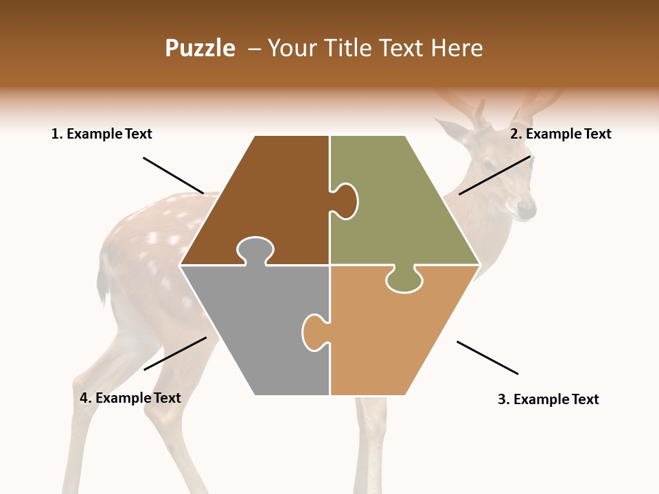 Wildlife Nature Cute PowerPoint Template