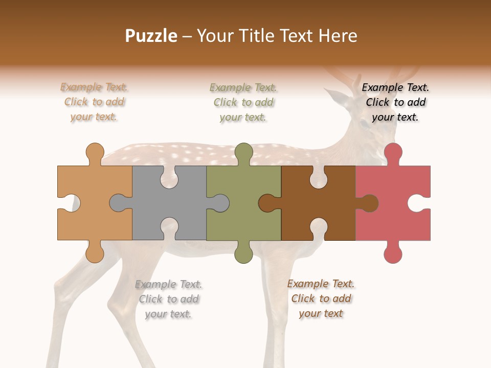 Wildlife Nature Cute PowerPoint Template