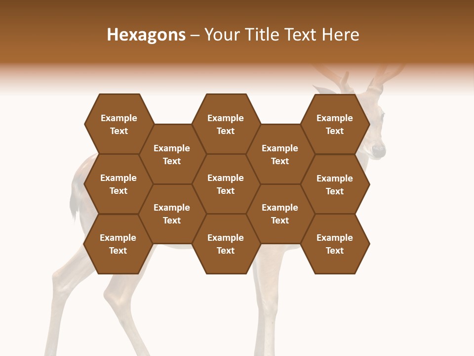 Wildlife Nature Cute PowerPoint Template