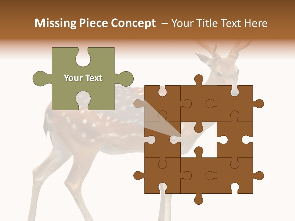 Wildlife Nature Cute PowerPoint Template