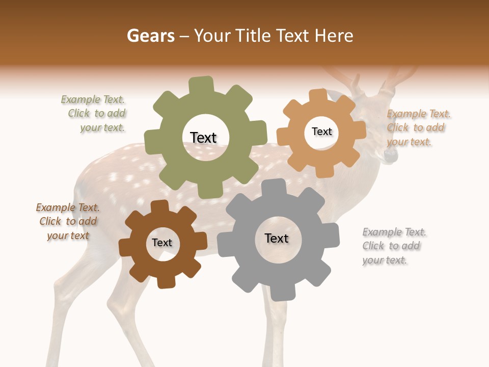 Wildlife Nature Cute PowerPoint Template