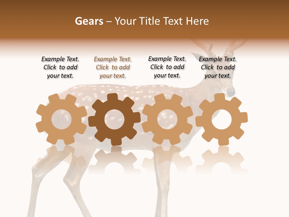 Wildlife Nature Cute PowerPoint Template