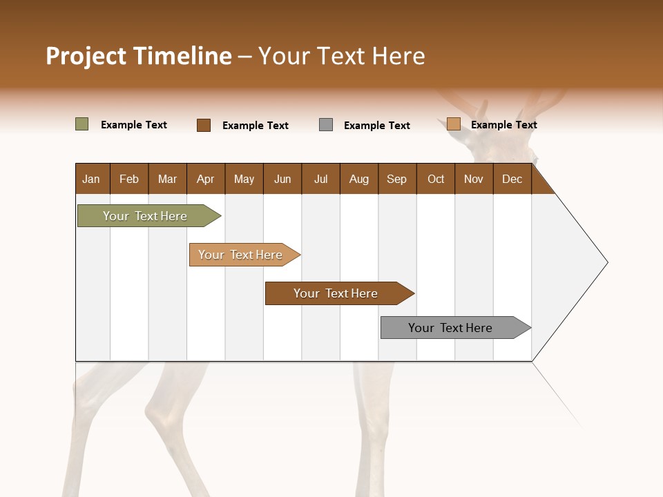 Wildlife Nature Cute PowerPoint Template