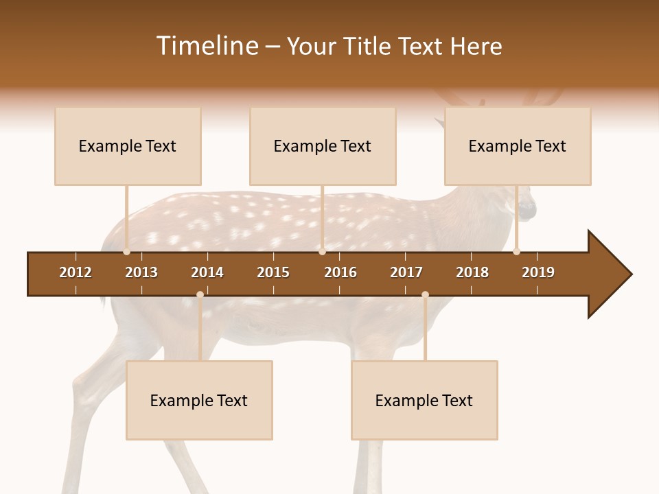 Wildlife Nature Cute PowerPoint Template