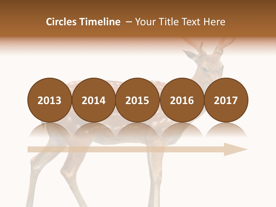 Wildlife Nature Cute PowerPoint Template