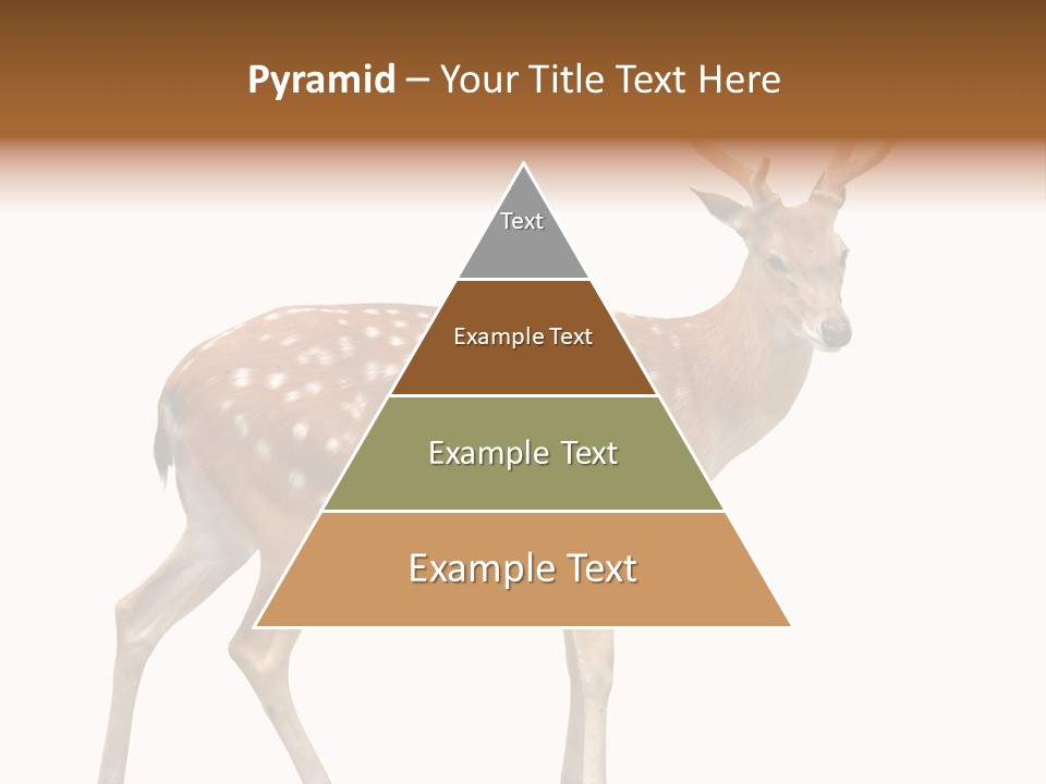 Wildlife Nature Cute PowerPoint Template