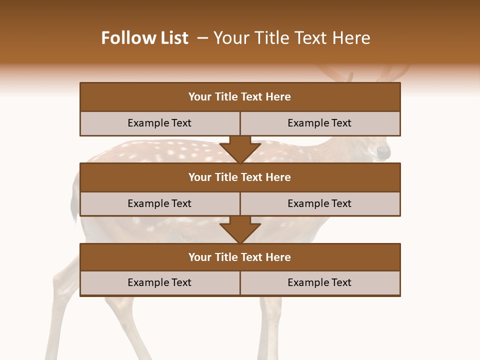 Wildlife Nature Cute PowerPoint Template