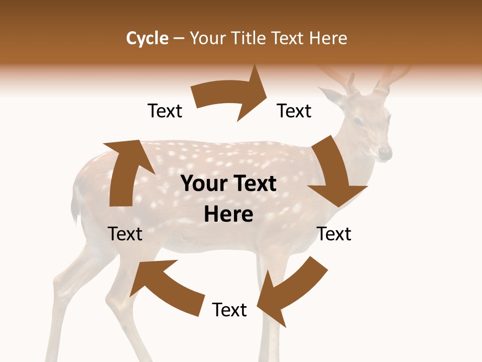 Wildlife Nature Cute PowerPoint Template