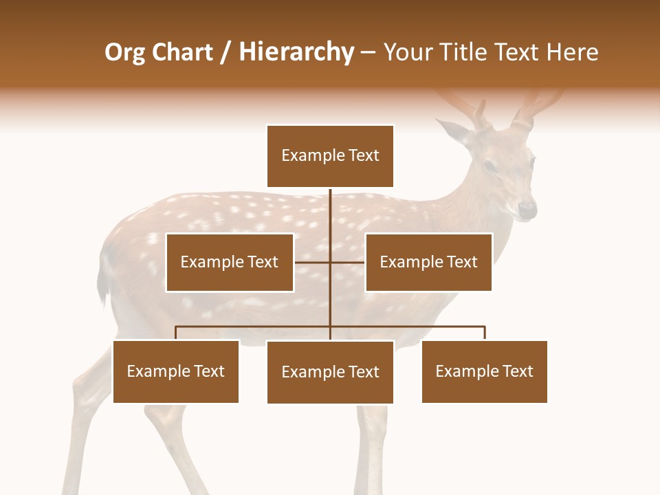 Wildlife Nature Cute PowerPoint Template