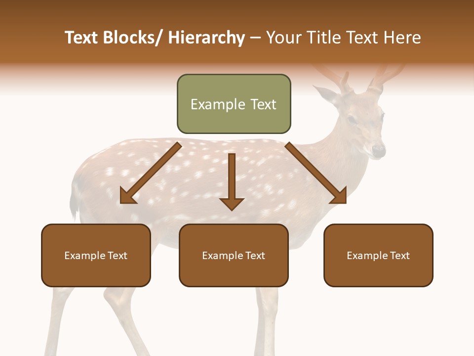 Wildlife Nature Cute PowerPoint Template