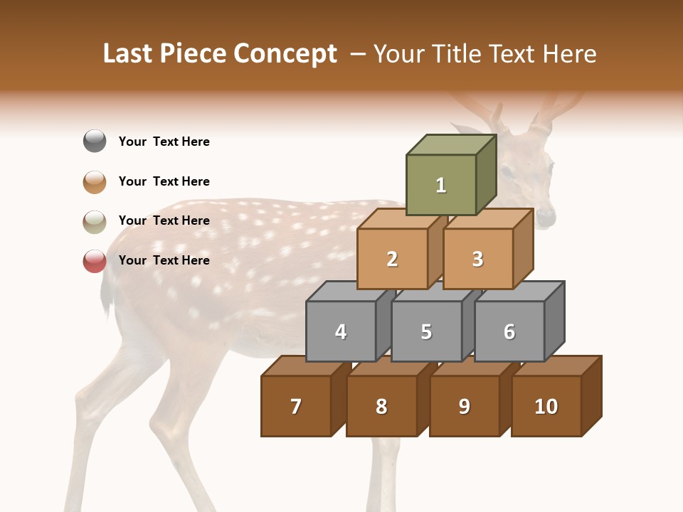 Wildlife Nature Cute PowerPoint Template