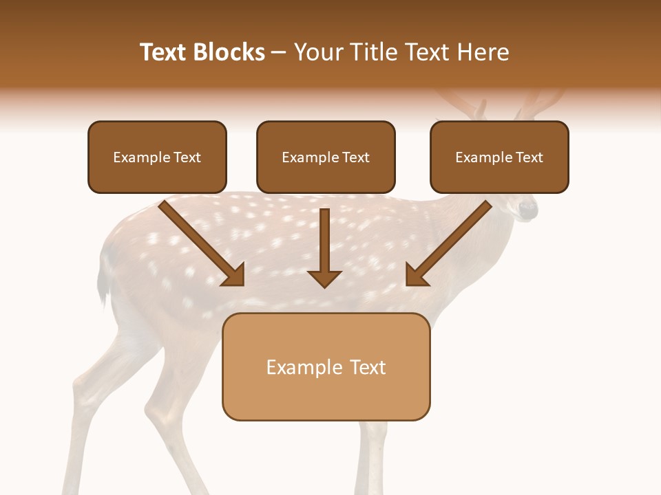 Wildlife Nature Cute PowerPoint Template