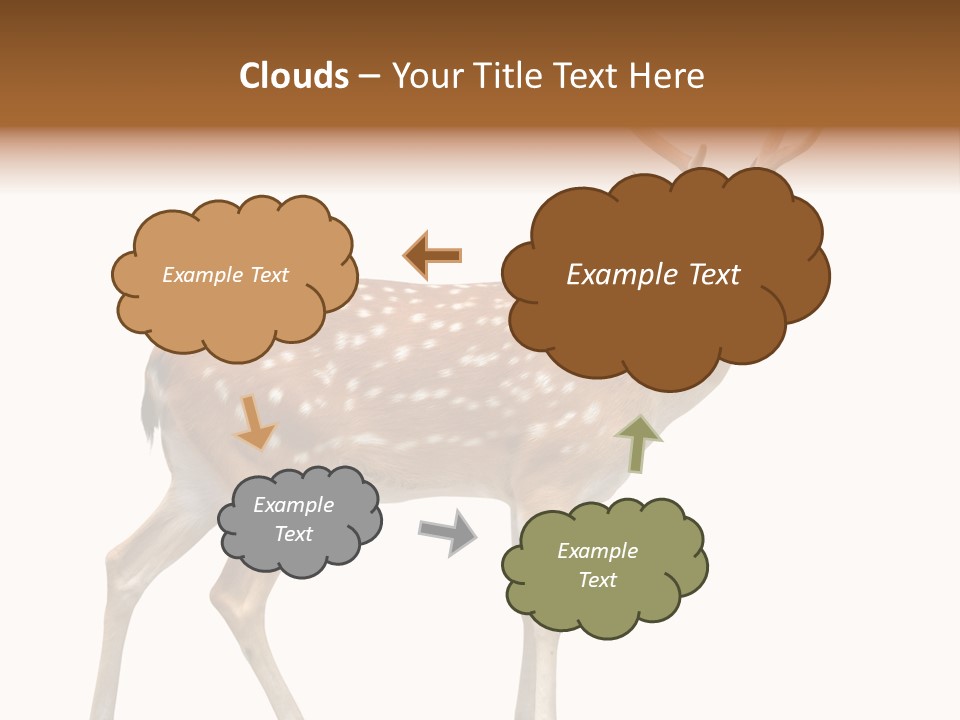 Wildlife Nature Cute PowerPoint Template