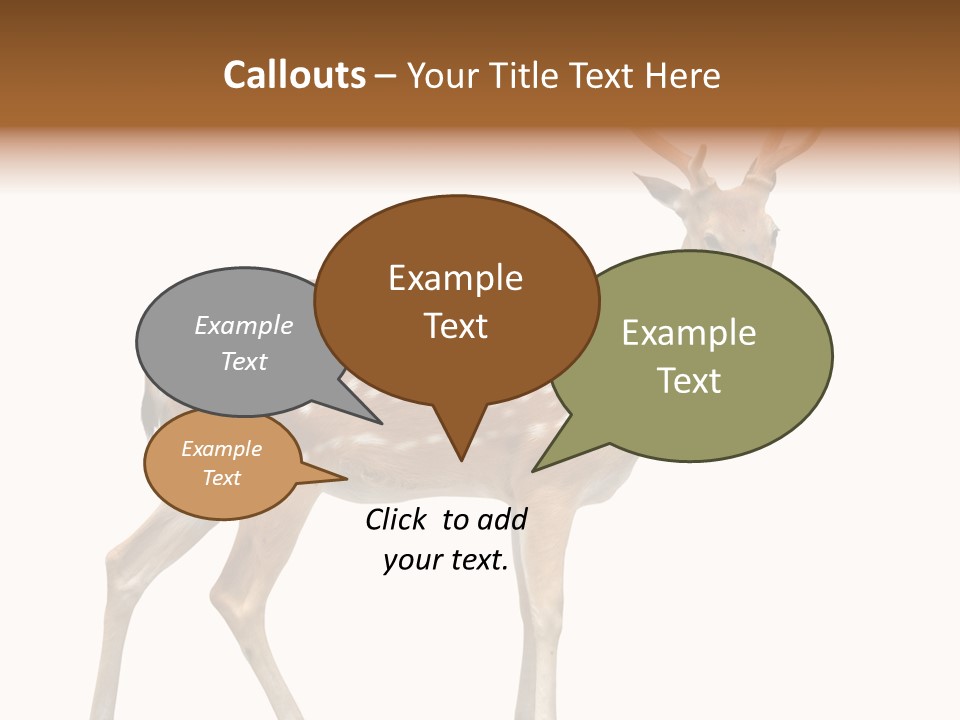 Wildlife Nature Cute PowerPoint Template